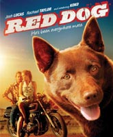 Рыжий пес Смотреть Онлайн / Red Dog [2011]